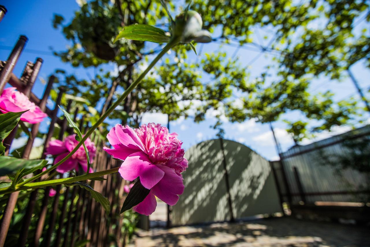 Guest House In Drachino Szolyva Kültér fotó